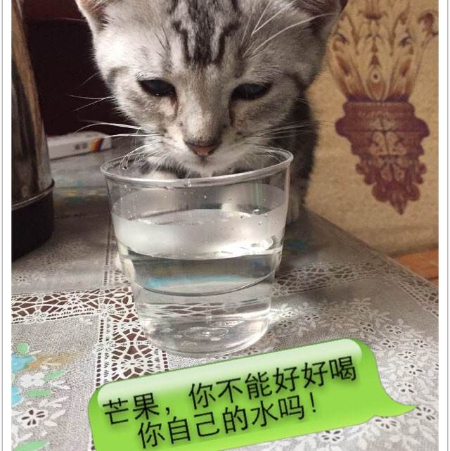 日本驾驶证怎么做